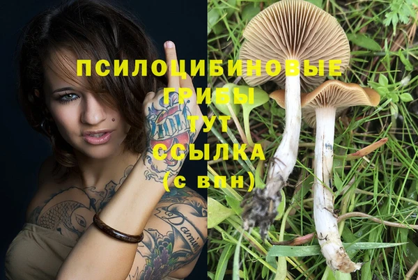 спайс Белоозёрский