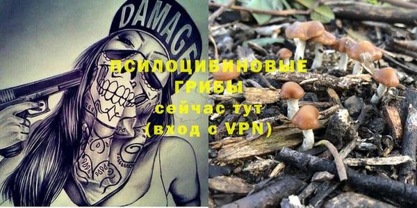 спайс Белоозёрский