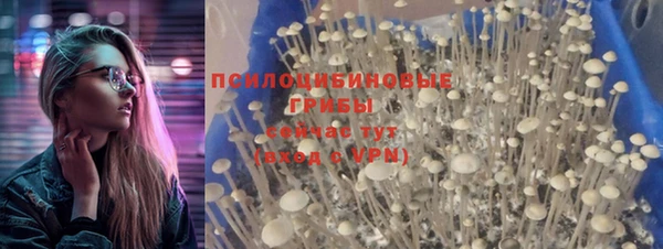 jwh Белокуриха